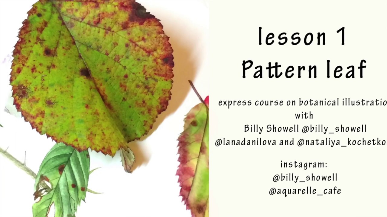 Learn to botanical watercolor with Billy Showell - pattern leaf