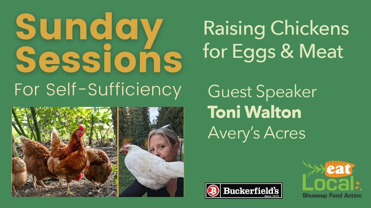 Raising Chickens for Eggs & Meat