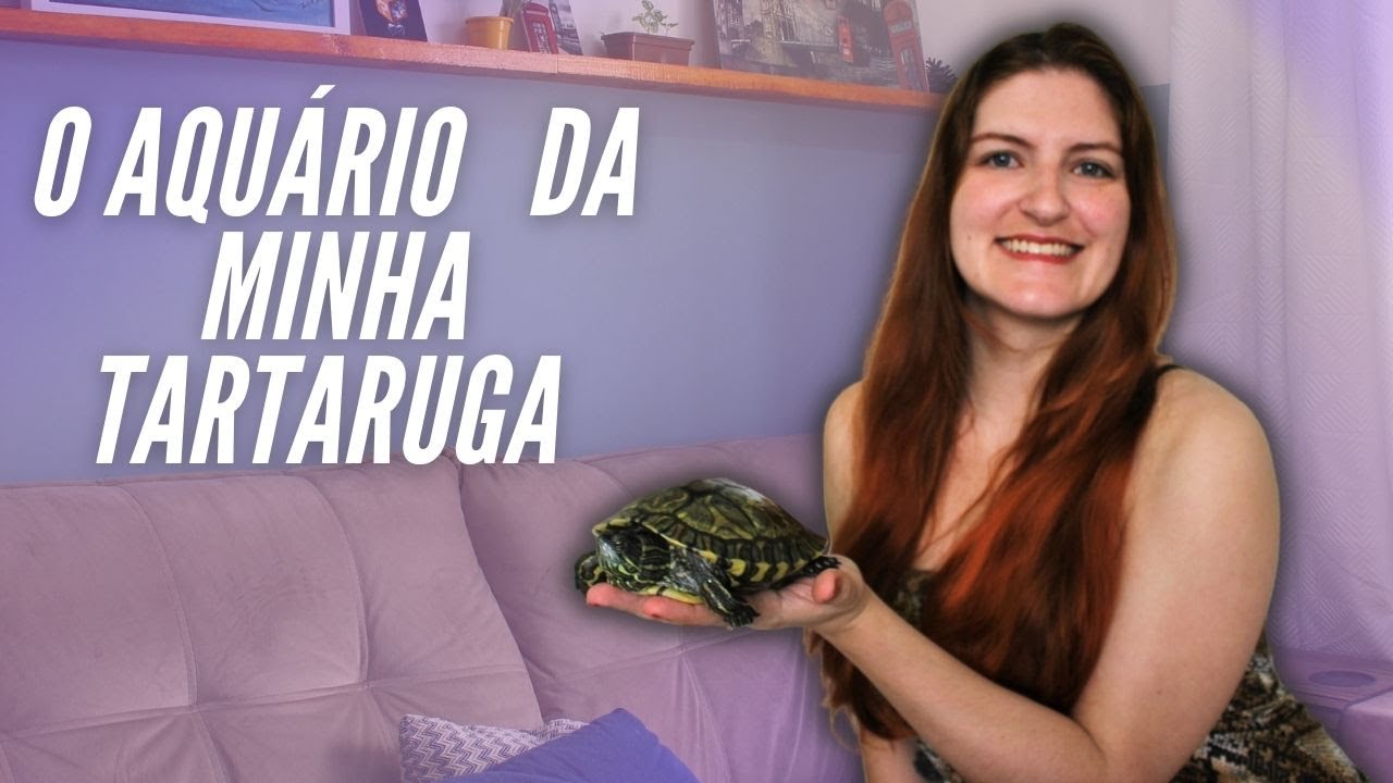 Dicas para Montar um Aquário para Tartaruga Tigre D'água Bem Grande