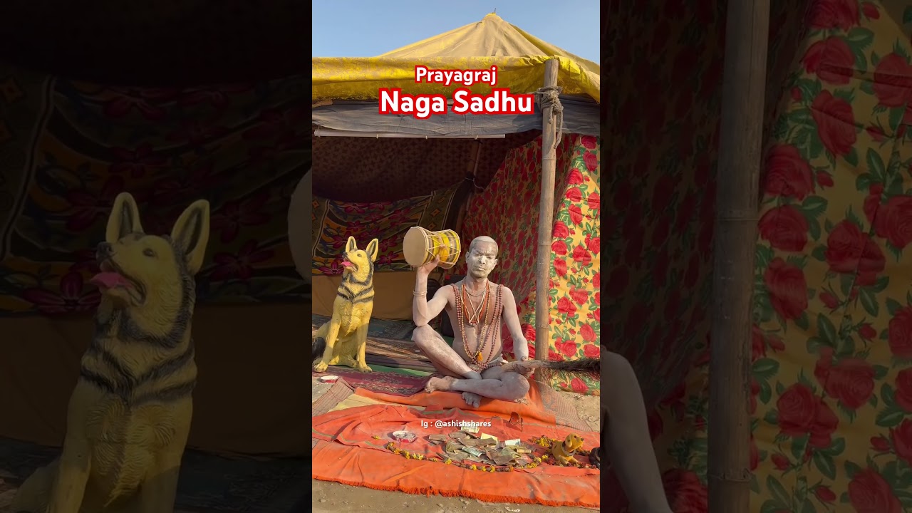 #aghori #mahakumbh2025 #delhinews #prayagrajkumbh #bamlahari #viralvideo #damru #naga #tirth #sadhu