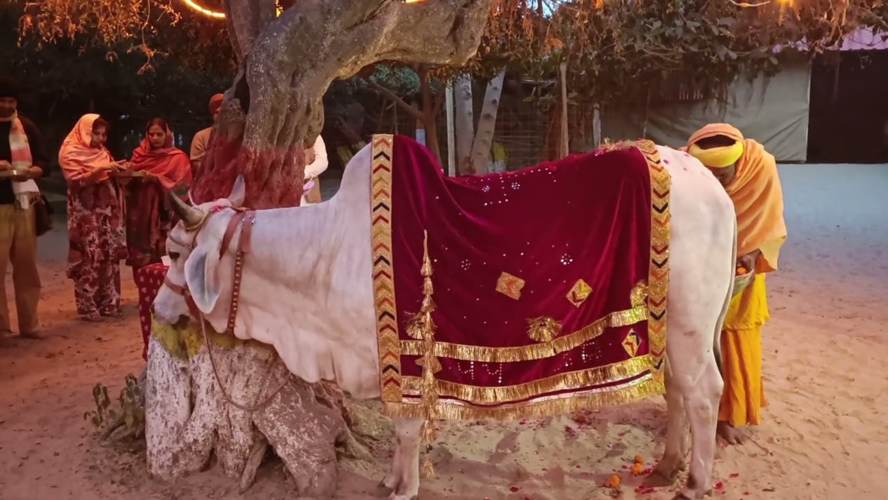 6 फ़रवरी 2026