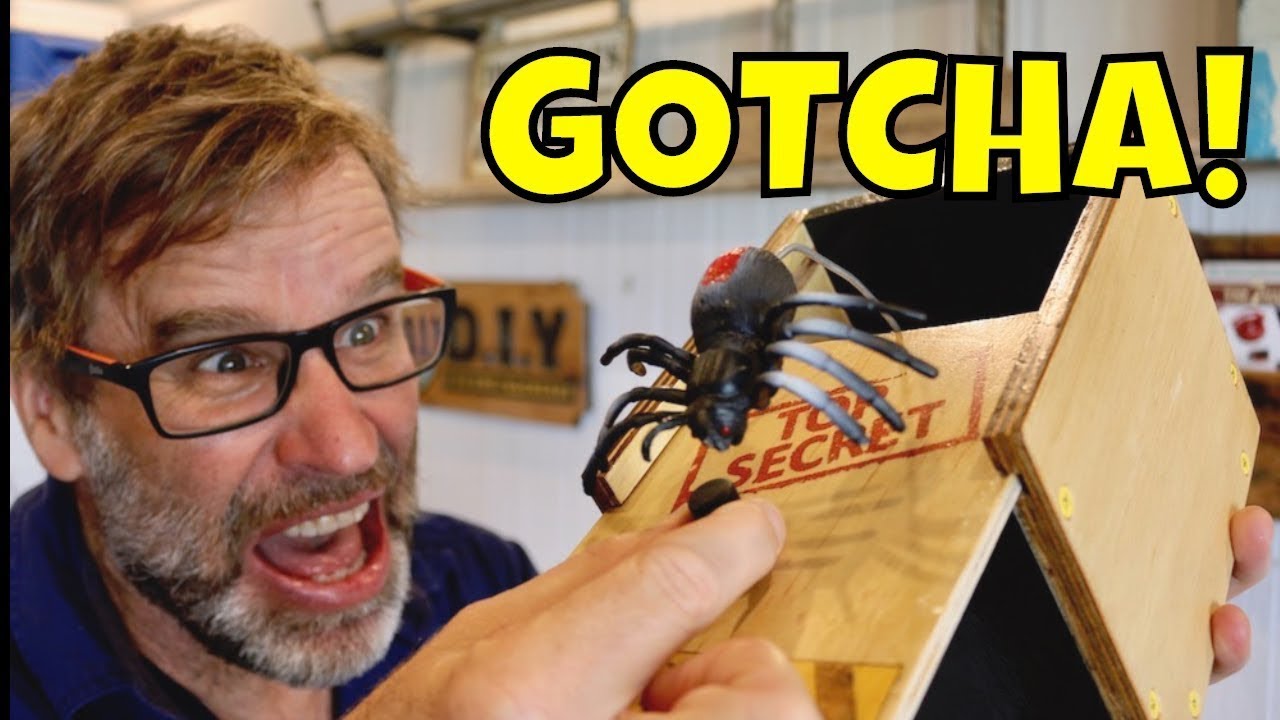 Cómo Hacer una Caja de Sorpresa con Araña. ¡Broma Divertidísima!