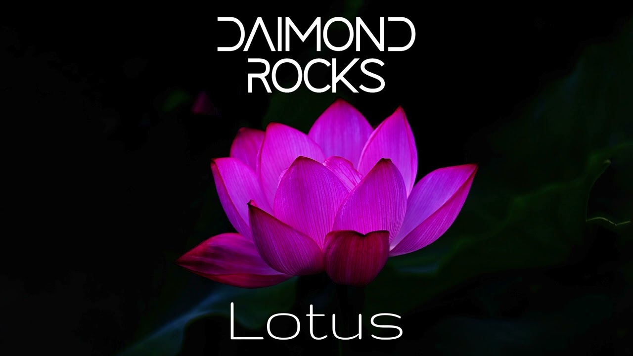 Daimond Rocks   - Lotus