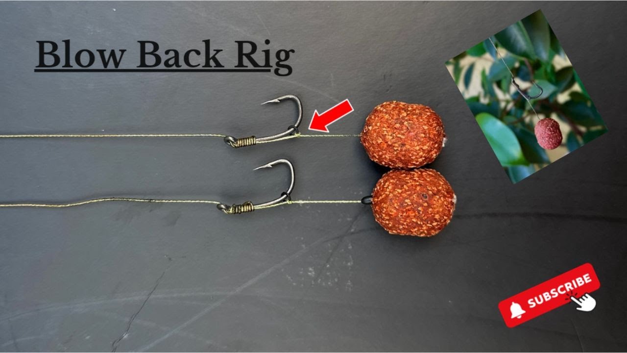 Blow Back Rig for Carp Fishing by Foris Fisherman Carp Hunter