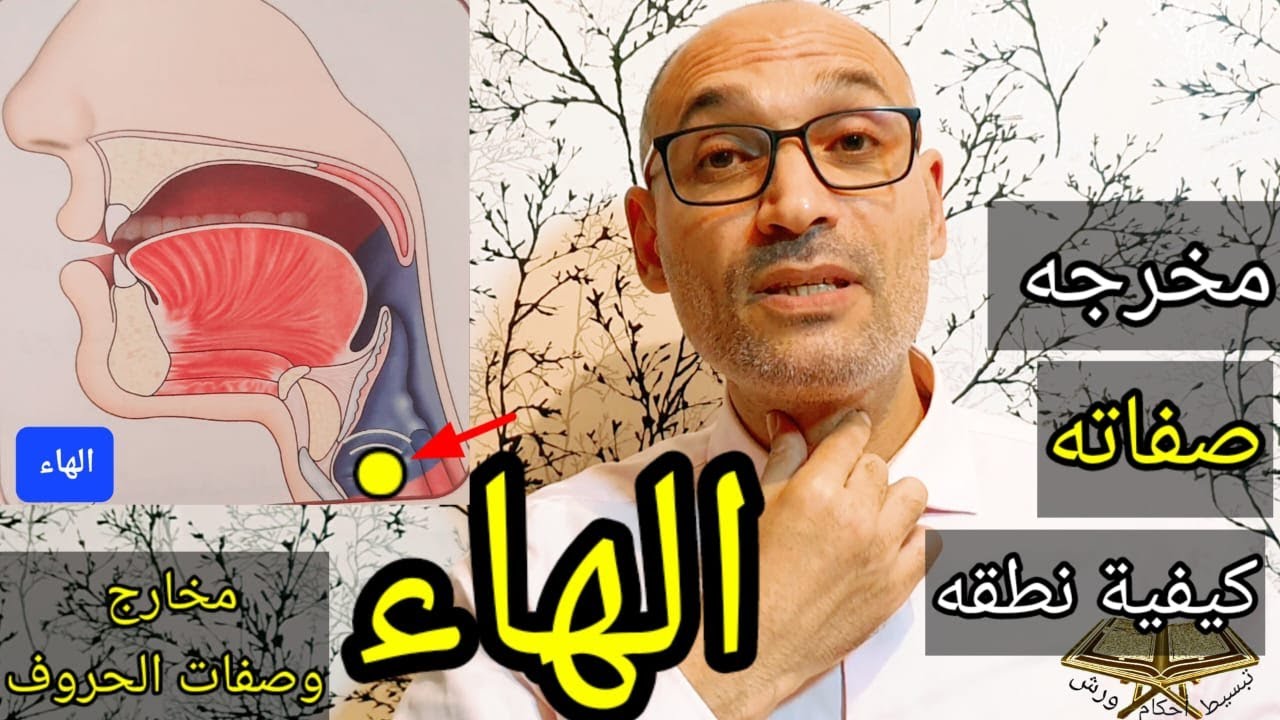 #مخارج_و_صفات_الحروف  [ 2-حرف الهاء ] مخرجه /صفاته/ كيفية نطقه -  مع أمثلة تطبيقية متنوعة