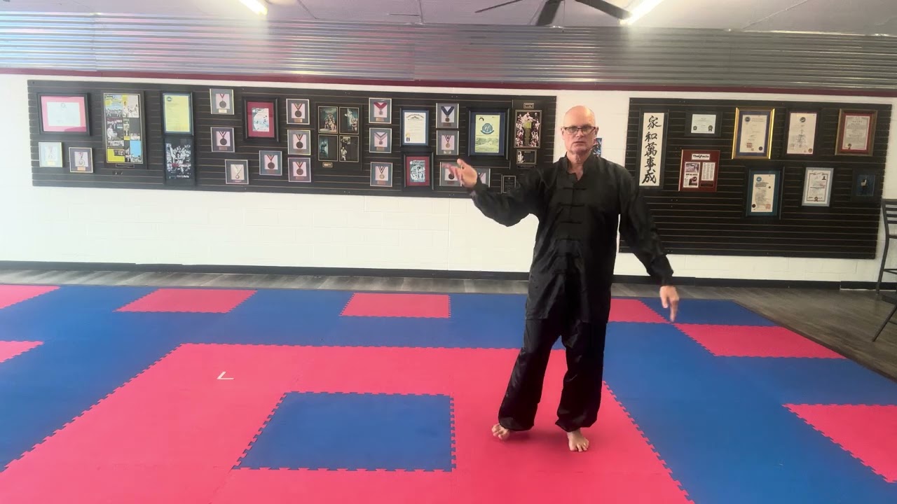 Tai Chi 10 Form variation #1 Front View