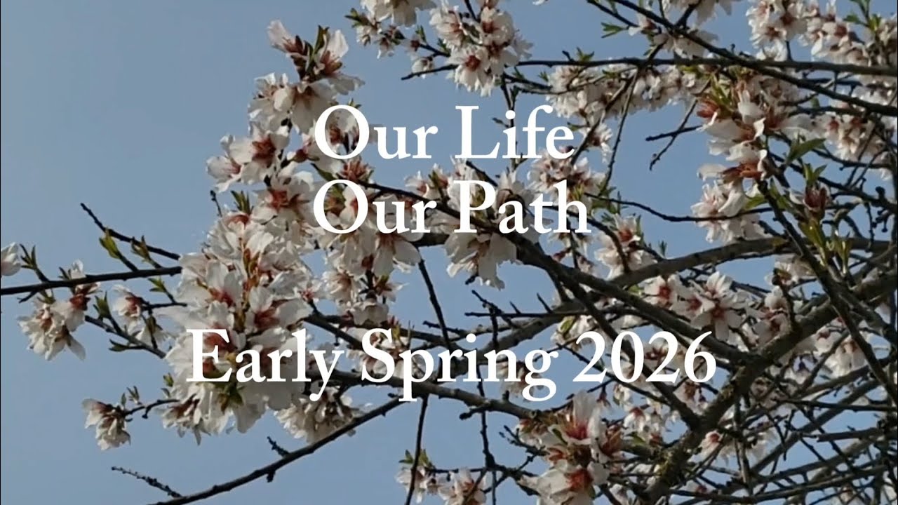 Spring time on our off-grid homestead Portugal.