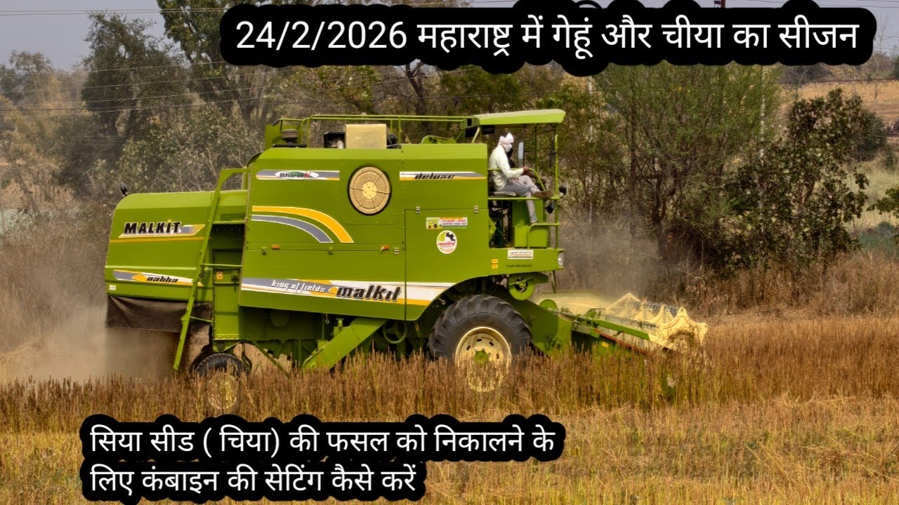 चिया निकालने के लिए कंबाइन की सेटिंग कैसे करें ताकि नुकसान ना हो।आज हुआ बारिश का मौसम गेहूं की कटाई 
