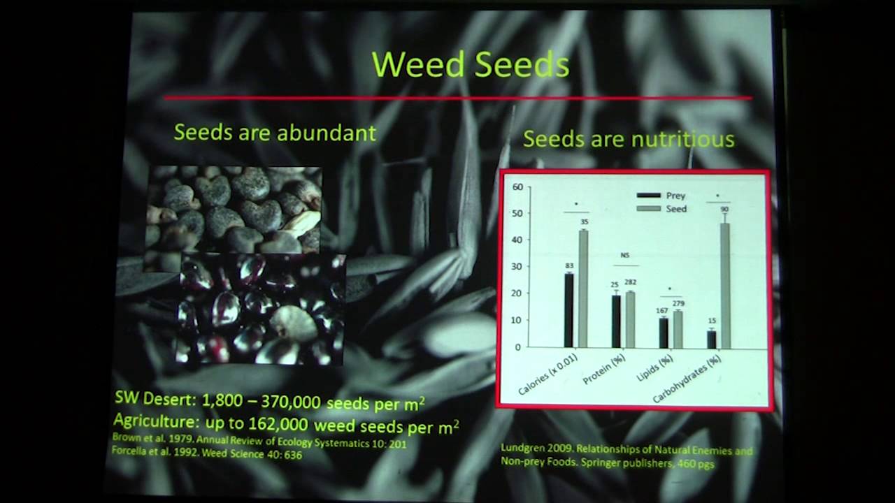 Jonathan Lundgren, SDSU, talks on how insects relate to soil health