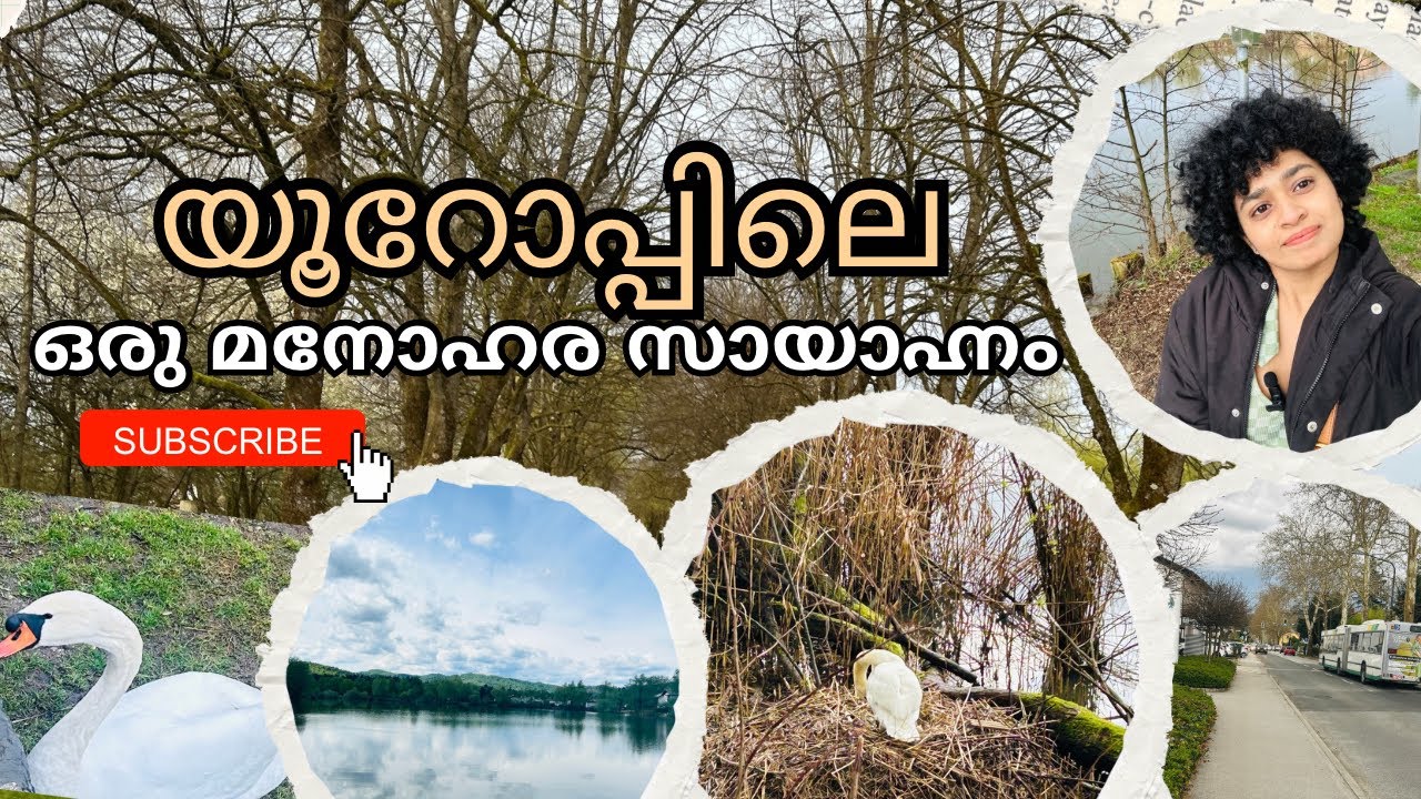 My First Malayalam Vlog | Evening Lake Walk in Europe