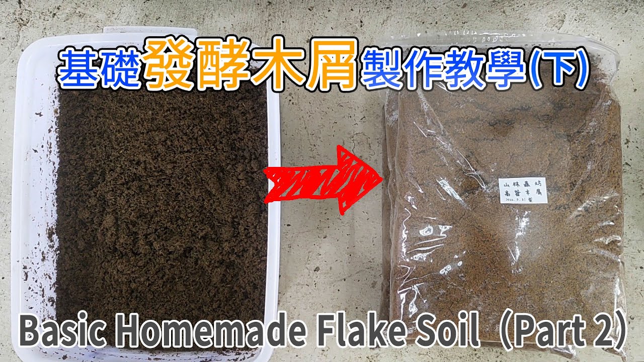 【山林蟲坊】基礎發酵木屑製作教學(下) | Basic Fermented wood chips Making Teaching (Part 2)
