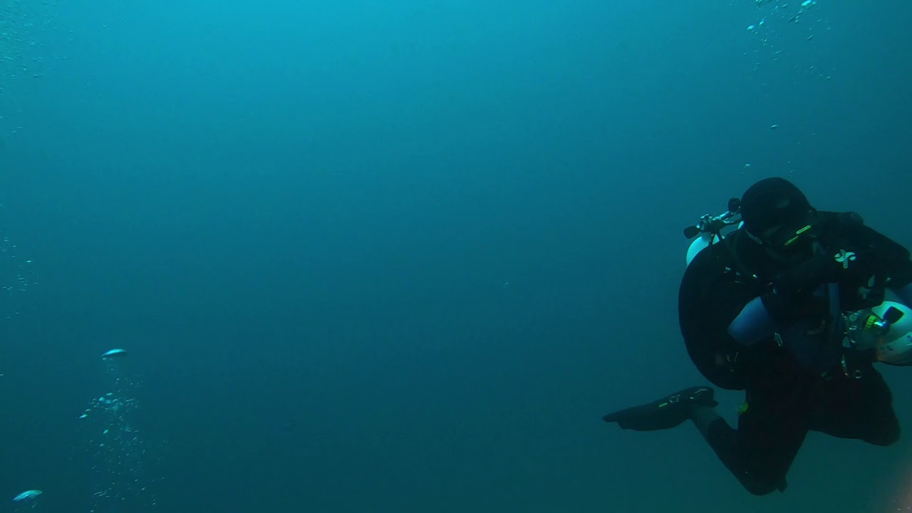 SE Tuggerah Wreck Dive