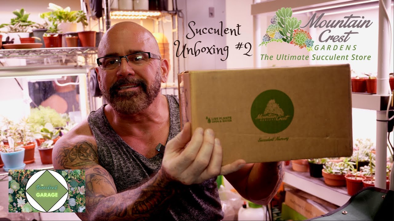 Oct 13, 2023 - Mountain Crest Gardens Succulent Unboxing 2
