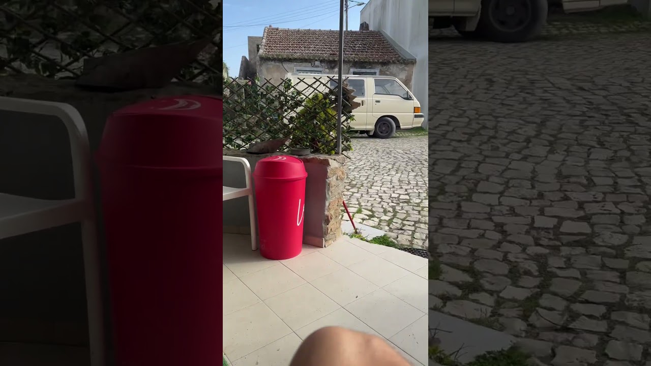 What a life as a cat 🐈😻 