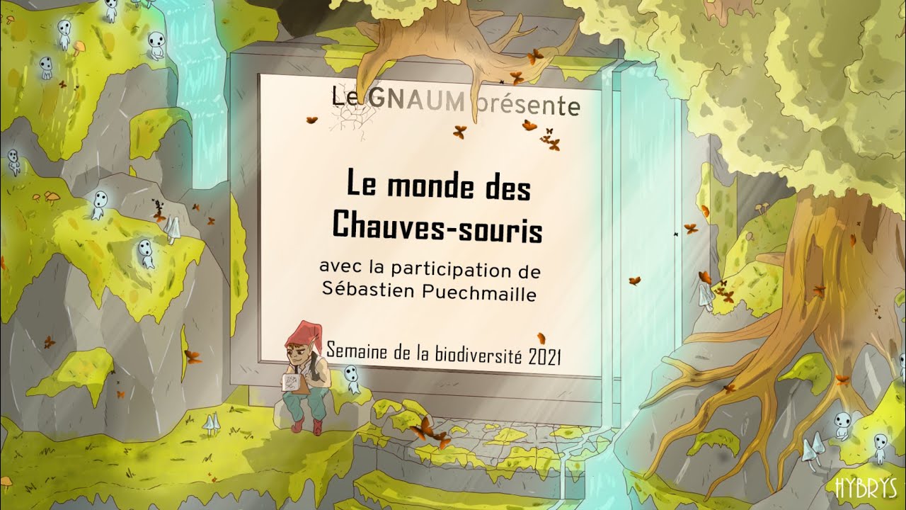 Le monde des chauves-souris - Sébastien Puechmaille