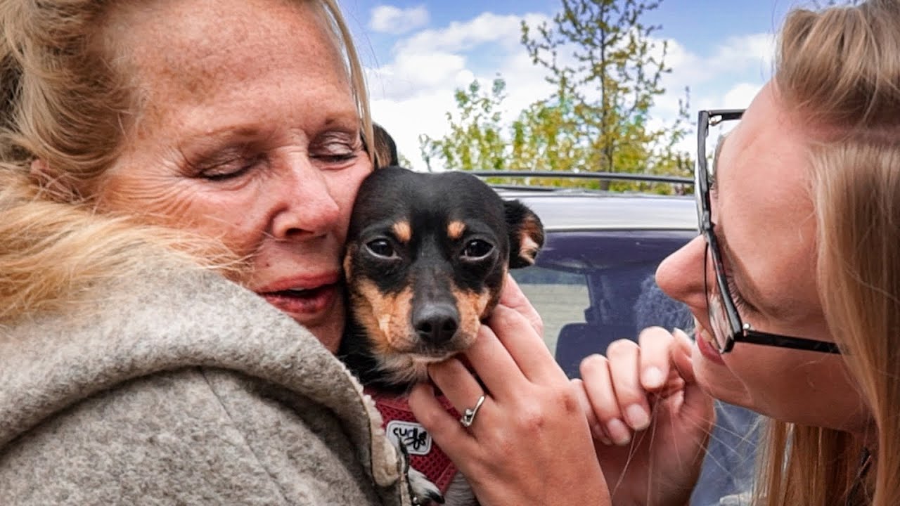 Esta pequeña perrita nunca conoció el cariño… hasta hoy !