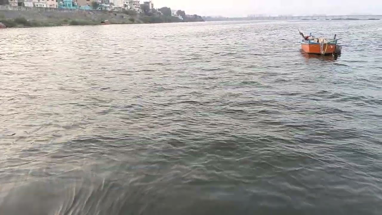tapti river Surat #shorts #reels #viralvideo #surat