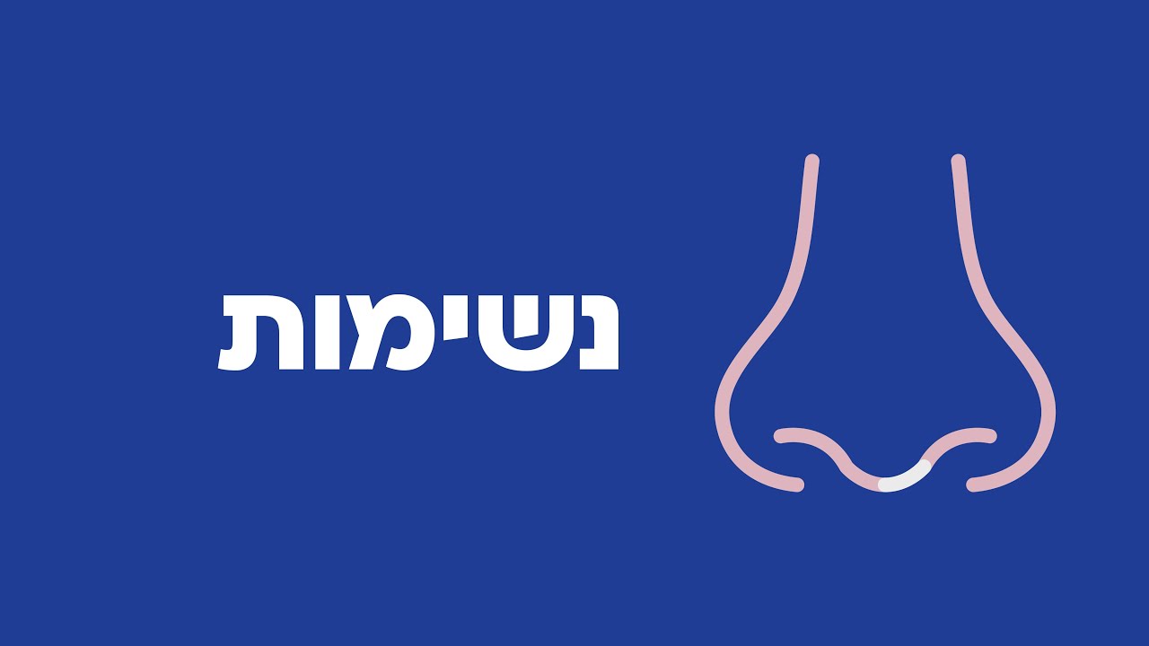 נשימות
