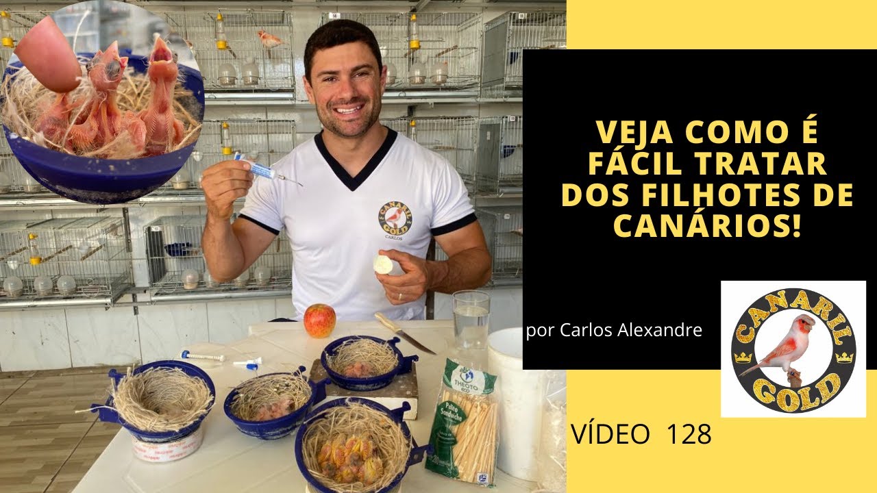 COM ESSES ALIMENTOS SUAS FÊMEAS VÃO TRATAR MUITO!