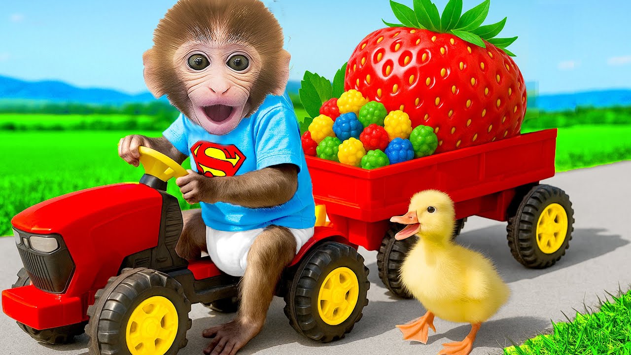 O Macaco Bon Bon  cuida de patinhos fofos e faz sorvete de frutas arco-íris - HT Animal Brazil