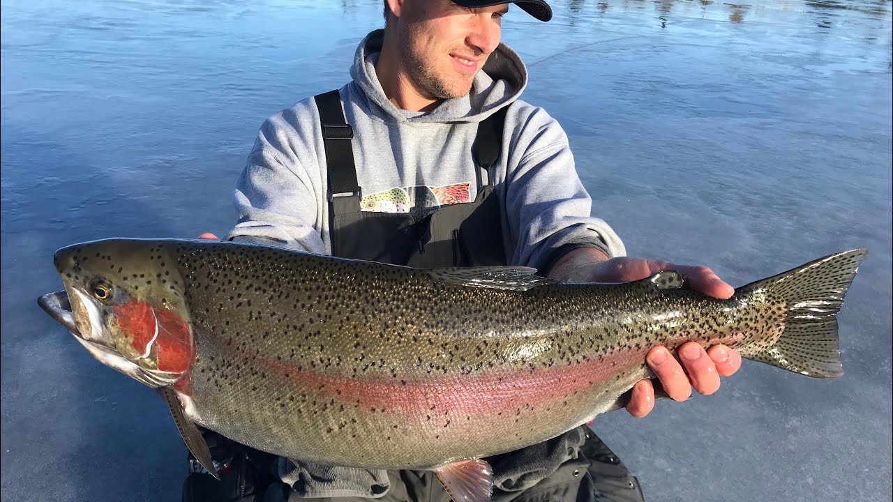 Ice fishing for “GIANT” Trout