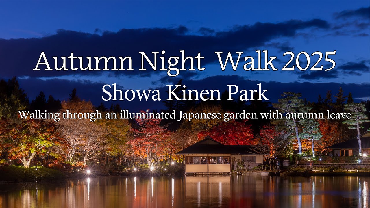 【156】🍂秋の夜散歩2025  昭和記念公園｜Autumn Night Walk 2025 at Showa Kinen Park