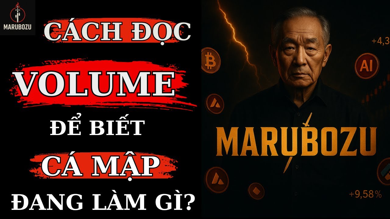 Bí Quyết Trading Thầy Tôi Truyền Lại: Cách Nhìn Volume Để Biết Cá Mập Đang Làm Gì!