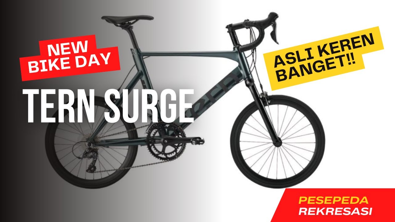 Kenapa Saya Pilih Tern Surge? Sepeda Minivelo yang Langka dan Unik!