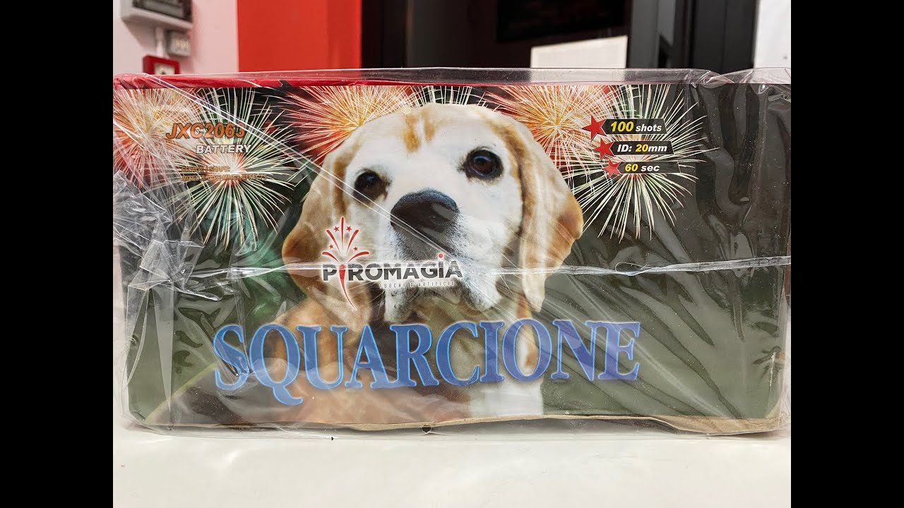 Squarcione - Articolo JXC2063