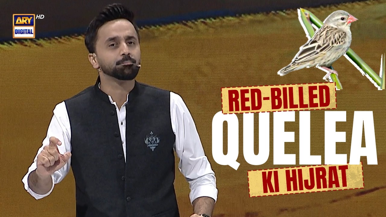Quran Aur Science |  Red-billed Quelea ki Hijrat 😱 | 6 MARCH 2026 | Waseem Badami | #shaneramazan