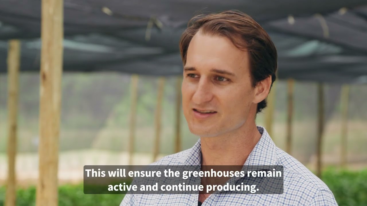 ENL Agri - Tea Plantation Venture