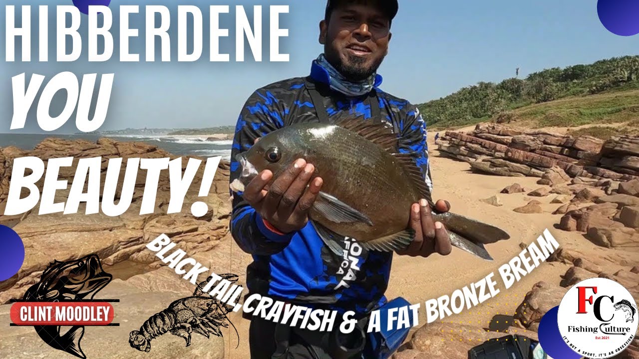 HIBBERDENE YOU BEAUTY! BLACK TAILS, CRAYFISH & A FAT BRONZE BREAM..DEFINATELY WORTH THE TRIP.