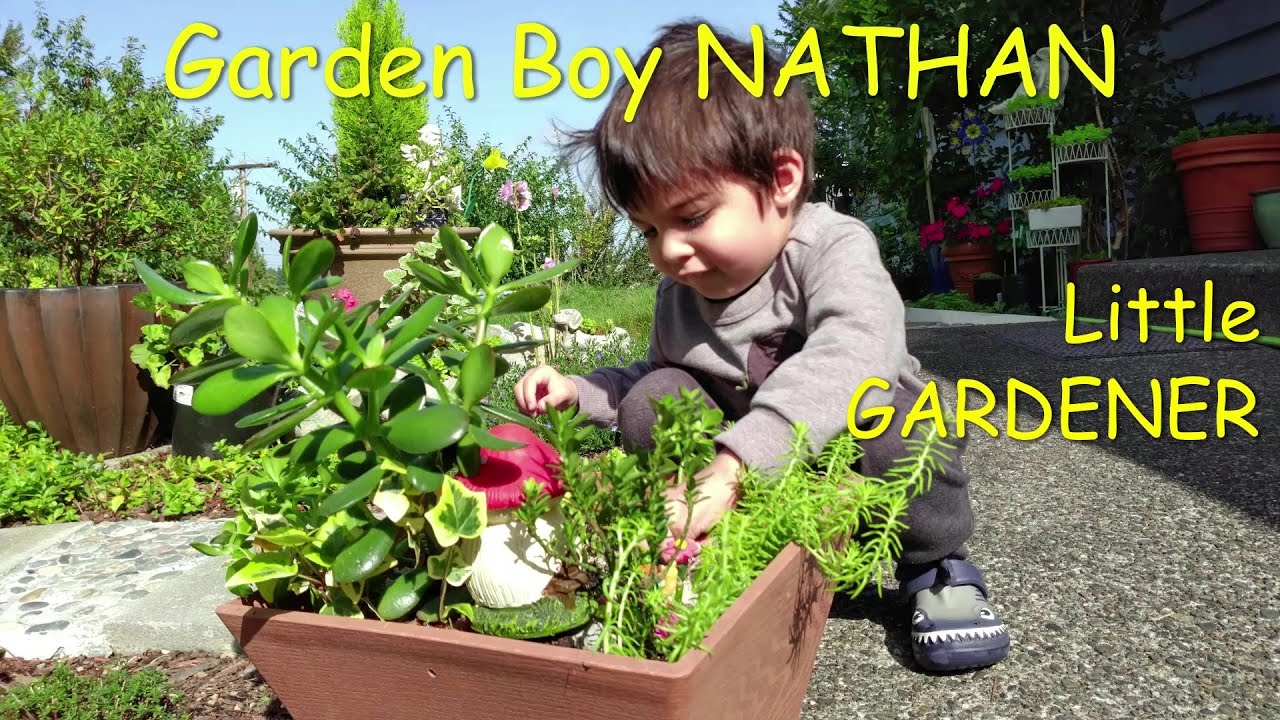 Little Grandkid doing gardening in the plant box