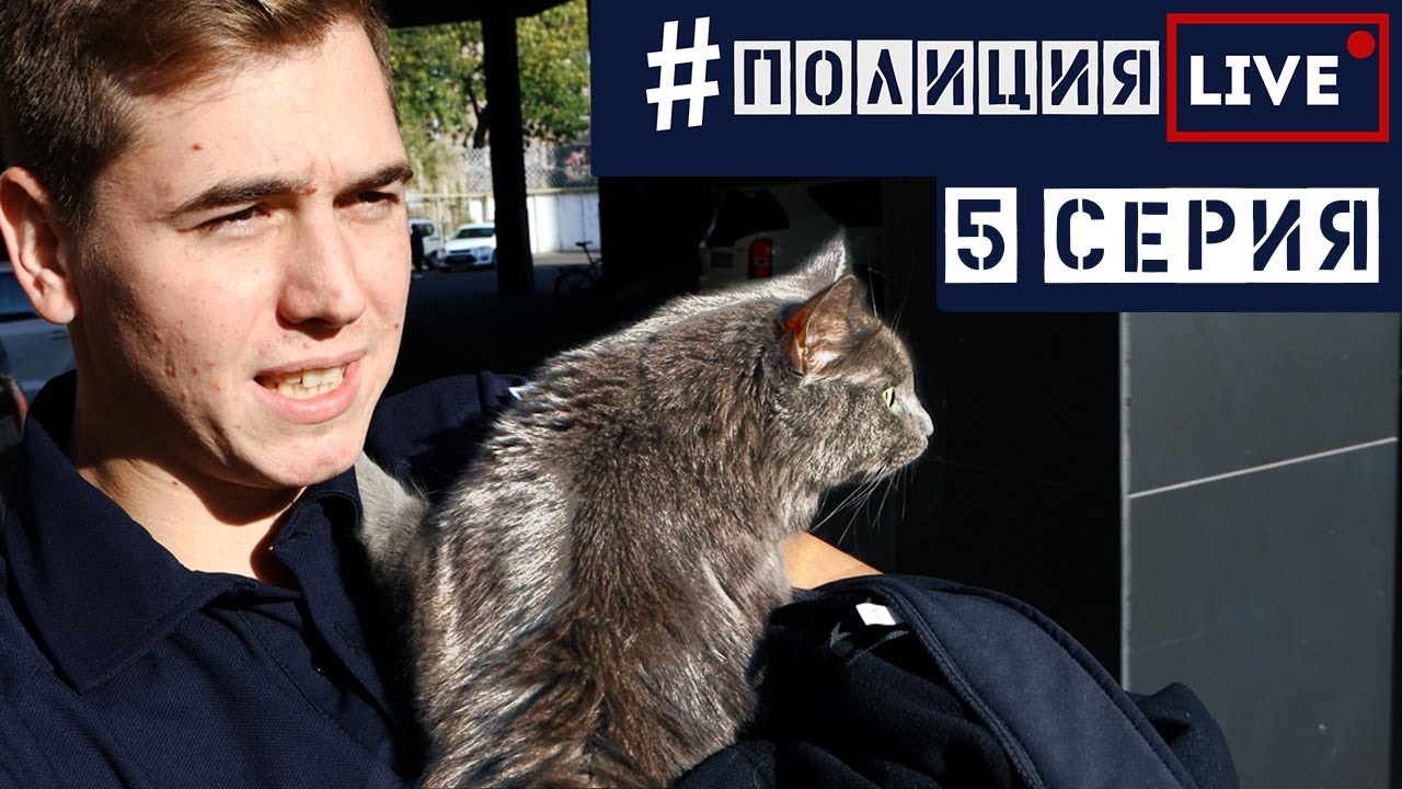 ПРОНЕС КОТА В ПОЛИЦЕЙСКИЙ УЧАСТОК | #ПолицияLIVE 🔴 5 серия