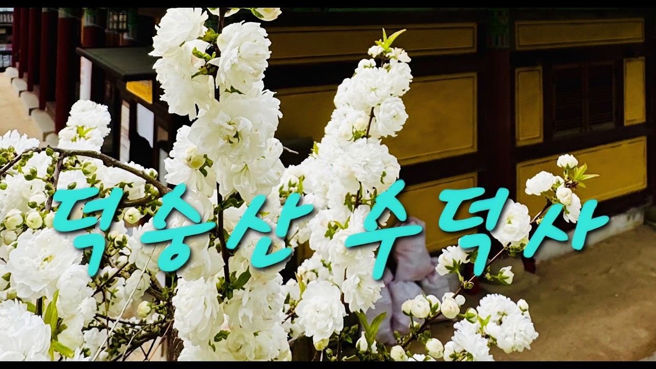 천년 고찰의 숨결, 덕숭산 수덕사.The breath of a thousand years of history, Sudeoksa Temple on Deoksung Mountain.