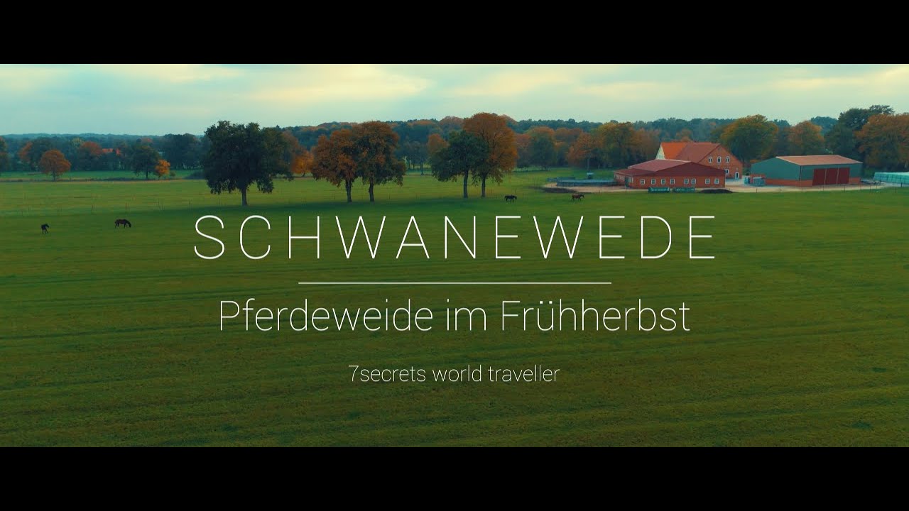 Neu: Schwanewede - Pferdeweide im Fr&uuml;hherbst