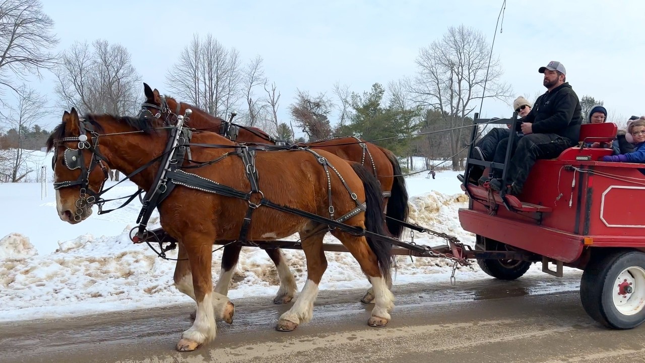 Family Day Event In Frontenac County