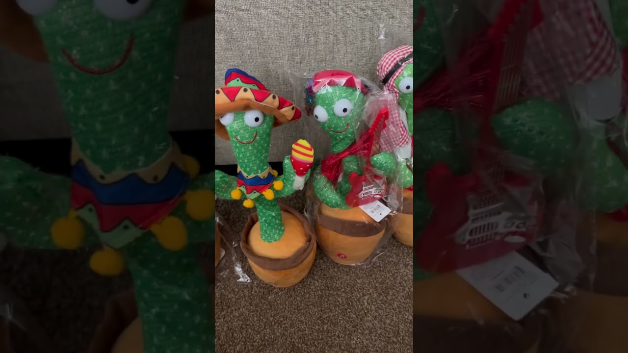 I receive all new items, cactus toys ￼