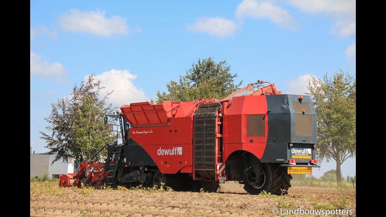 Dewulf Kwatro aardappelen rooien 2016 - Van Bruwaene - Dezeure Turbo Cleaner