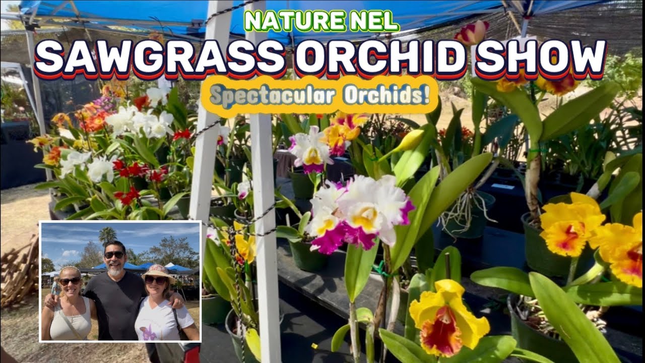 Orchids at SAWGRASS NATURE CENTER WILDLIFE & HOSPITAL. Orchid and Plant Showcase.