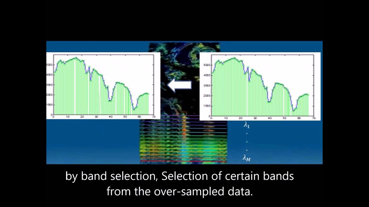 Band Selection in Hyperspectral Data Processing