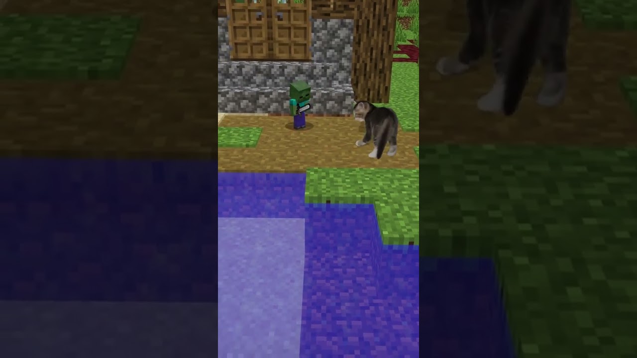 Epic Minecraft Battle: Zombie vs Cat vs Me?! 🧟🐱💥