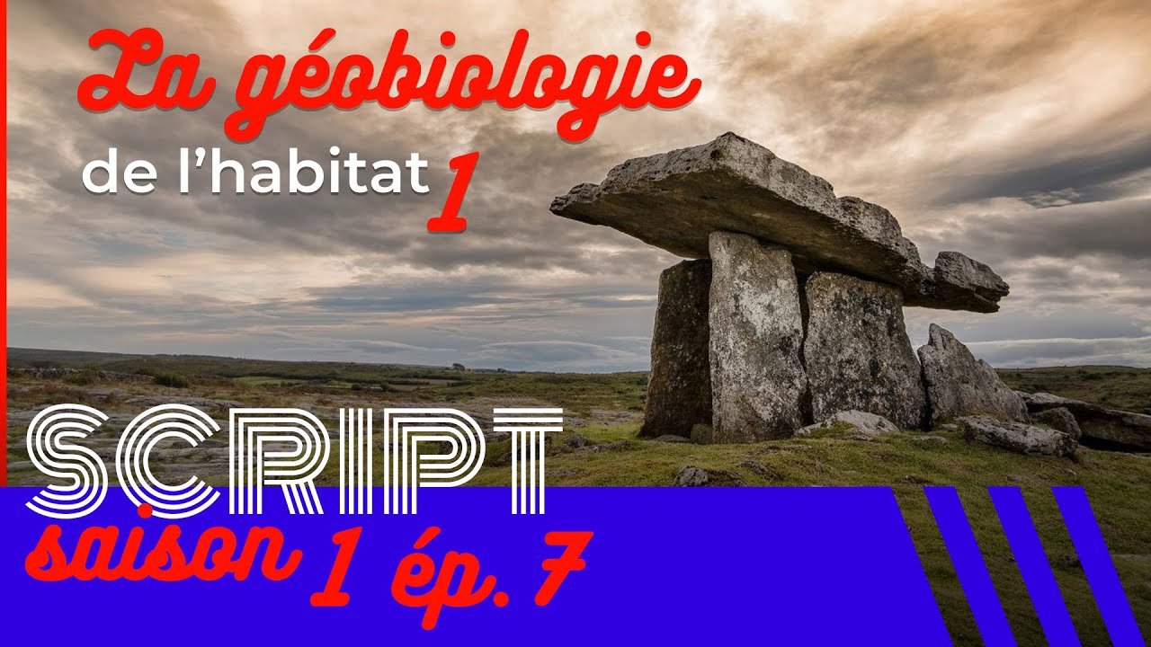 Qu'est-ce que la géobiologie et comment se pratique-t-elle ? (chronique 