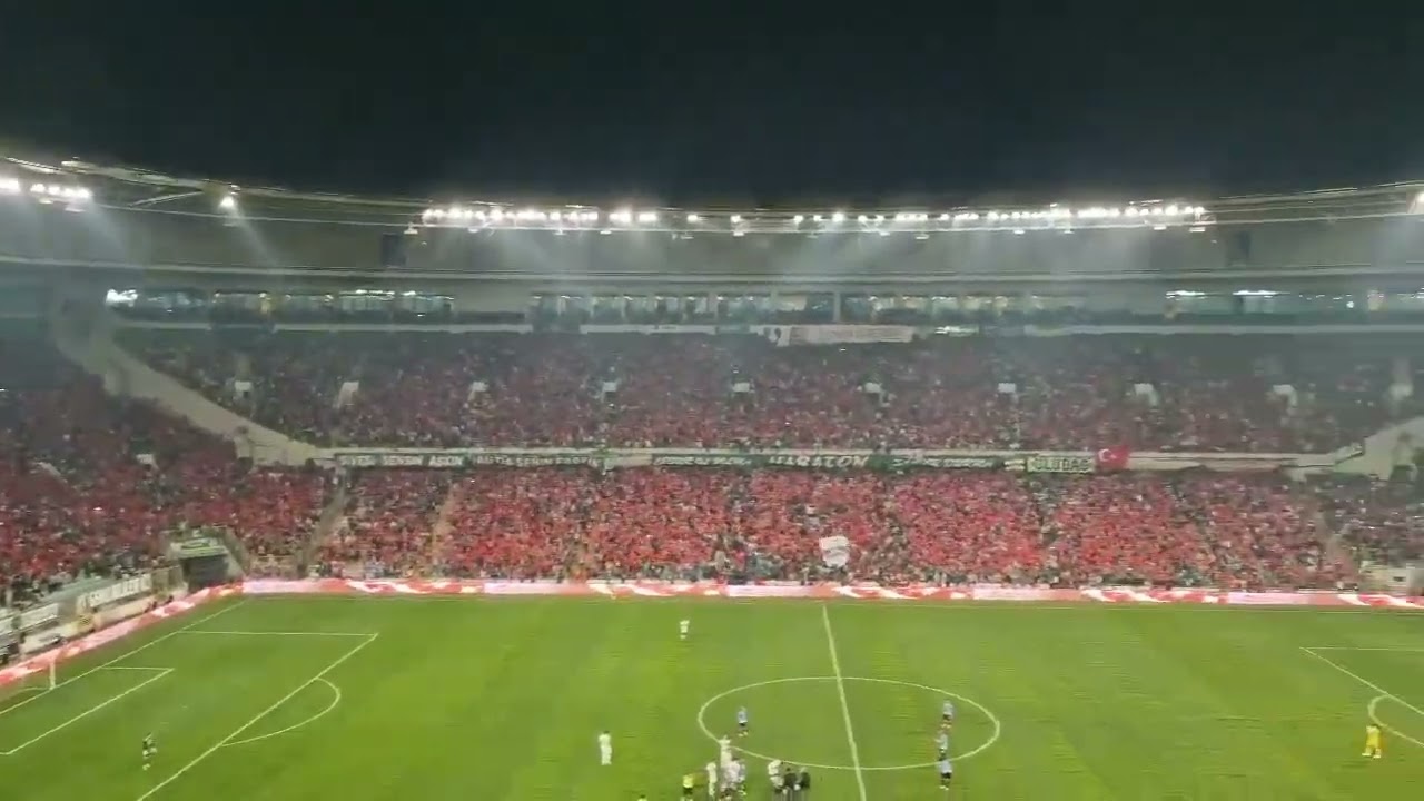 Teksas Fans
