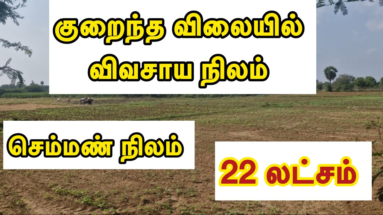 ID- 1021 🌿குறைந்த விலையில் செம்மண் விவசாய நிலம் #trending #farmland #farmlandlowbudget #realestate 