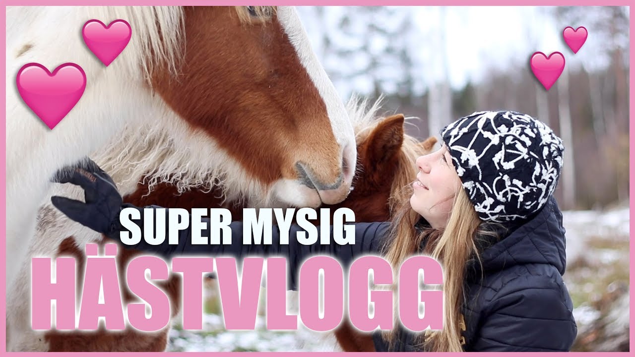 MYSIG H&Auml;STVLOGG