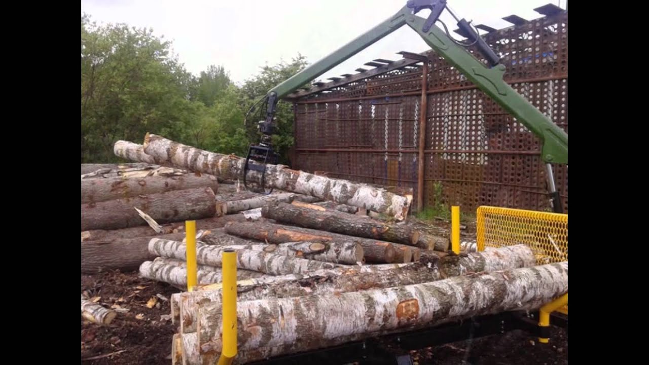 Forest trailers with cranes and dump body