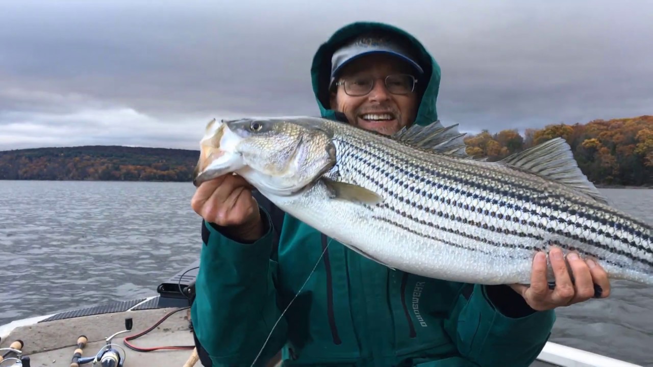 How to Catch Stripers in the Fall