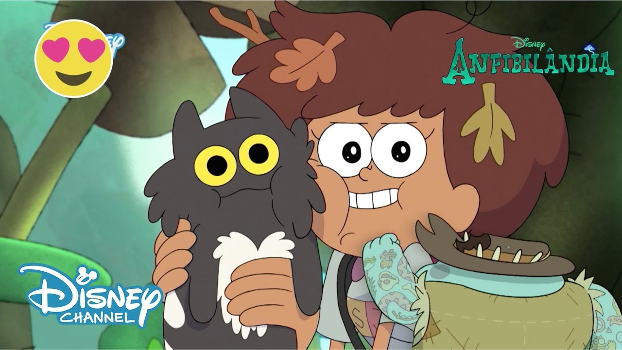 Anfibilândia Selvagem - Gatinho