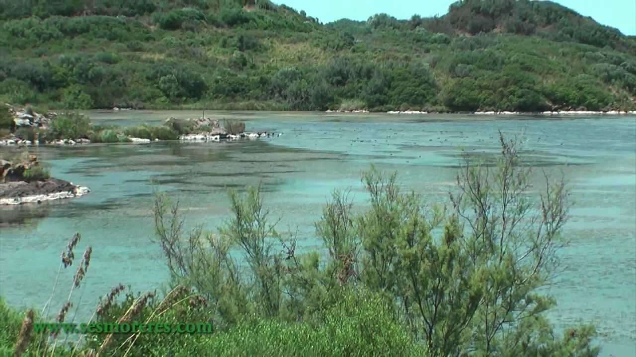 s'Albufera des Grau, Menorca